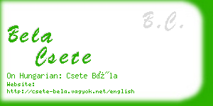 bela csete business card